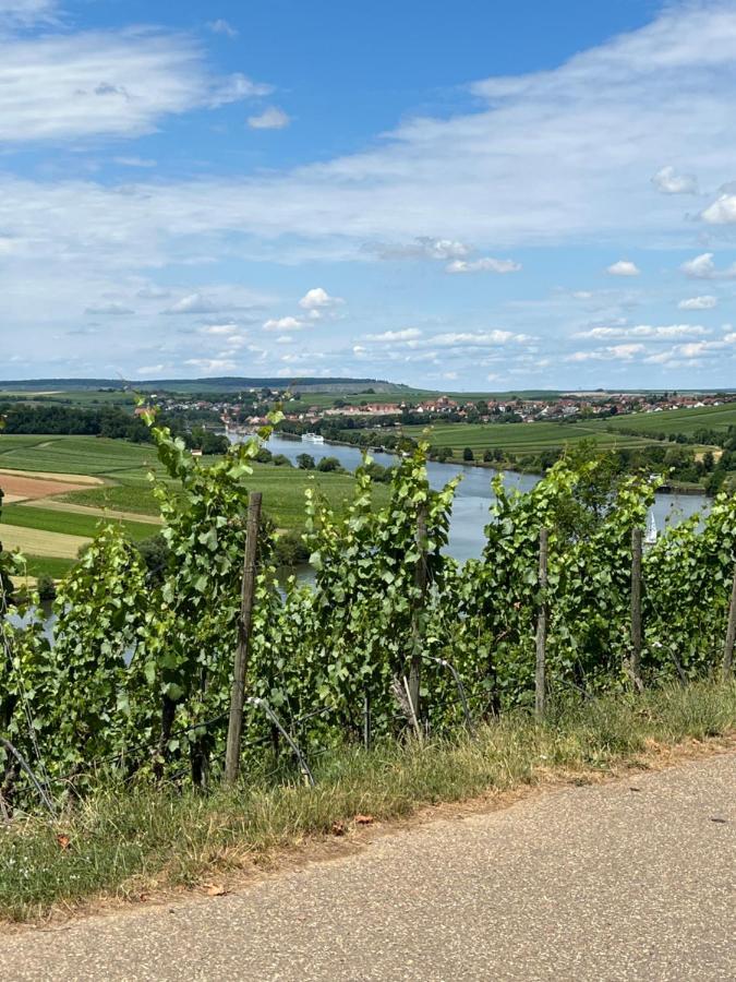 Loft Wohnung Appartement Auf 2 Etagen, Naehe Neckar Neckarwestheim Eksteriør billede